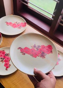 DINNER PLATES
