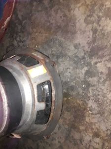 Bass Speaker