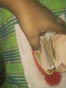 Hand Pouch