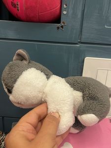Cute Plush Cat Toy