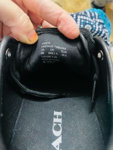 Coach Sneakers