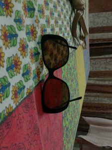 Sun Glasses