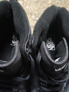 Vans Sneakers
