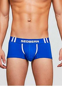Blue SEOBEAN Boxer Briefs