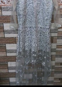 Elegant Net Gown