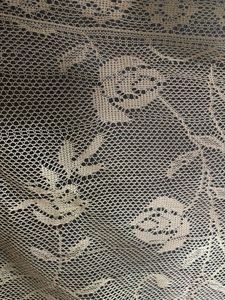 Elegant Lace Dupatta