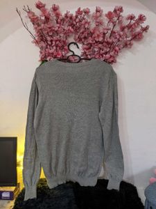 Quirky Woolen Thin Top