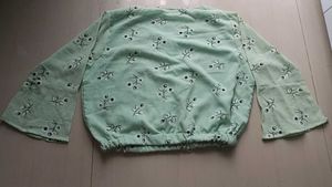 Beautiful Pastel Green Crop Top