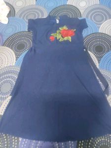 Navy Blue Floral Embroidered A-Line Dress