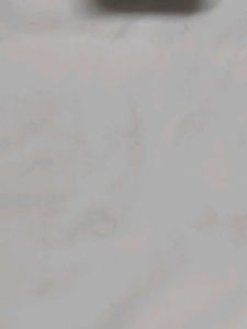 Pyjama Pants For Kurta Of Size L