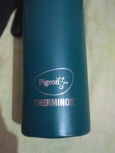 Pigeon Water Bottle
