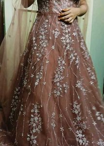 Beautiful Fall Sleeve Party Wear  Gown