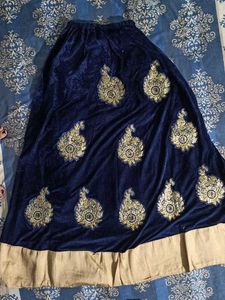 Embroidered Indian Outfit