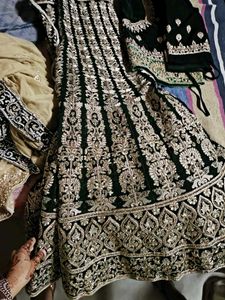 Elegant Green &amp; Gold Embroidered Lehenga