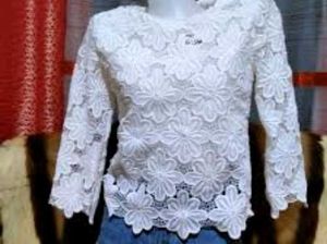 Very Beautiful V, Nice White Net Top