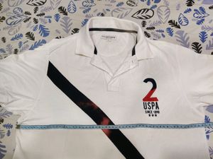 Regular Fit Brand  Print Polo Tshirt With Contrast