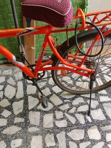 Orange Tron DNS Bicycle For Teenagers