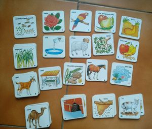 Learning Cards 30 Card