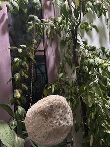 Cute Fuzzy Butterfly Bag