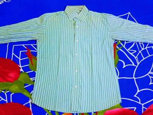 Striped Sea Green Shirt