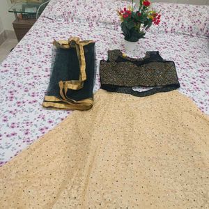 beautiful lehanga choli