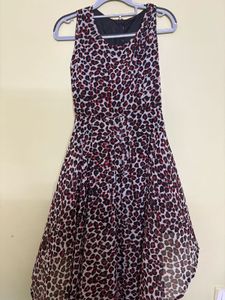 Leopard Print Dress