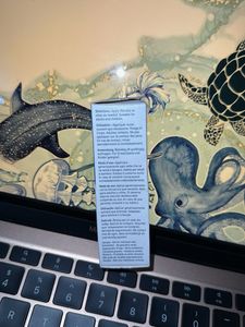 CeraVe Moisturizing Cream