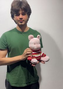 Pig Plush Toy with Sweater