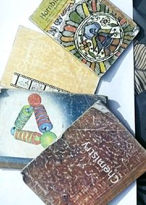 Class 11 Books Both English, Chemistry ,physics