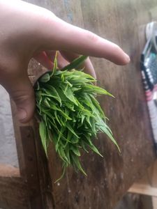 Cute ♥️😜 Artificial Pots Of 3 Pieces