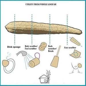 Brand-New Natural Loofah