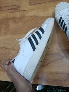 Sparx Brand Sneakers For Womens
