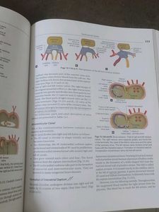 Human Embryology Book