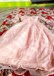 Elegant Peach Net Gown with Embroidery Work
