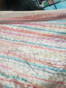 Multi Colour Dupatta