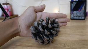 Oak Tree Pine Decoratives