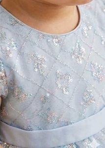 Adorable Baby Girl&#39;s Party Dress