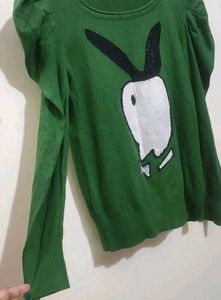 Green🟢 Winter Top For Girl Or Woman 30 Bust