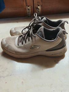 Skechers Shoes