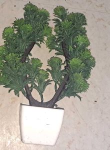 Artificial Plant Decor