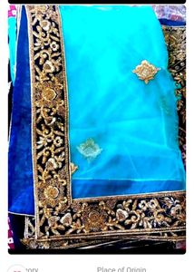 Elegant Embellished Lehenga