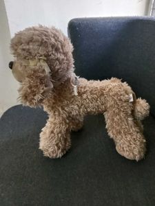 Cute Poodle Plush Toy