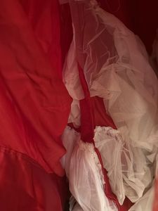 Princess Red Bow Gown