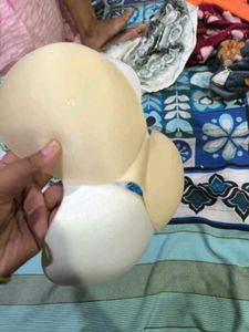 Set Of 2 Bra Pads