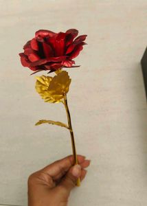 Rose Flower With Box