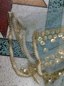Stunning Sea Green and Gold Embellished Lehenga