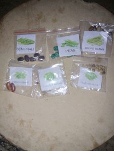 50 Types of Vegetable Plant Seeds