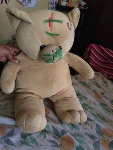 Teddy Bear