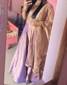Elegant Indian Anarkali Dress