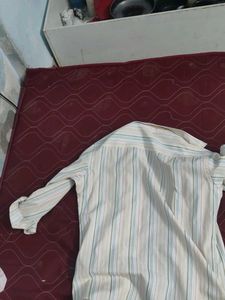 Formal Full Sleeves Shirt